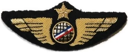 Aile de poitrine de pilote brodée en fil doré sur fond noir